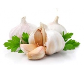 valkosipuli